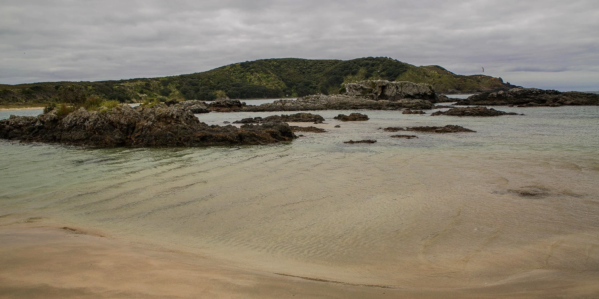 Matai Bay,d-155.jpg