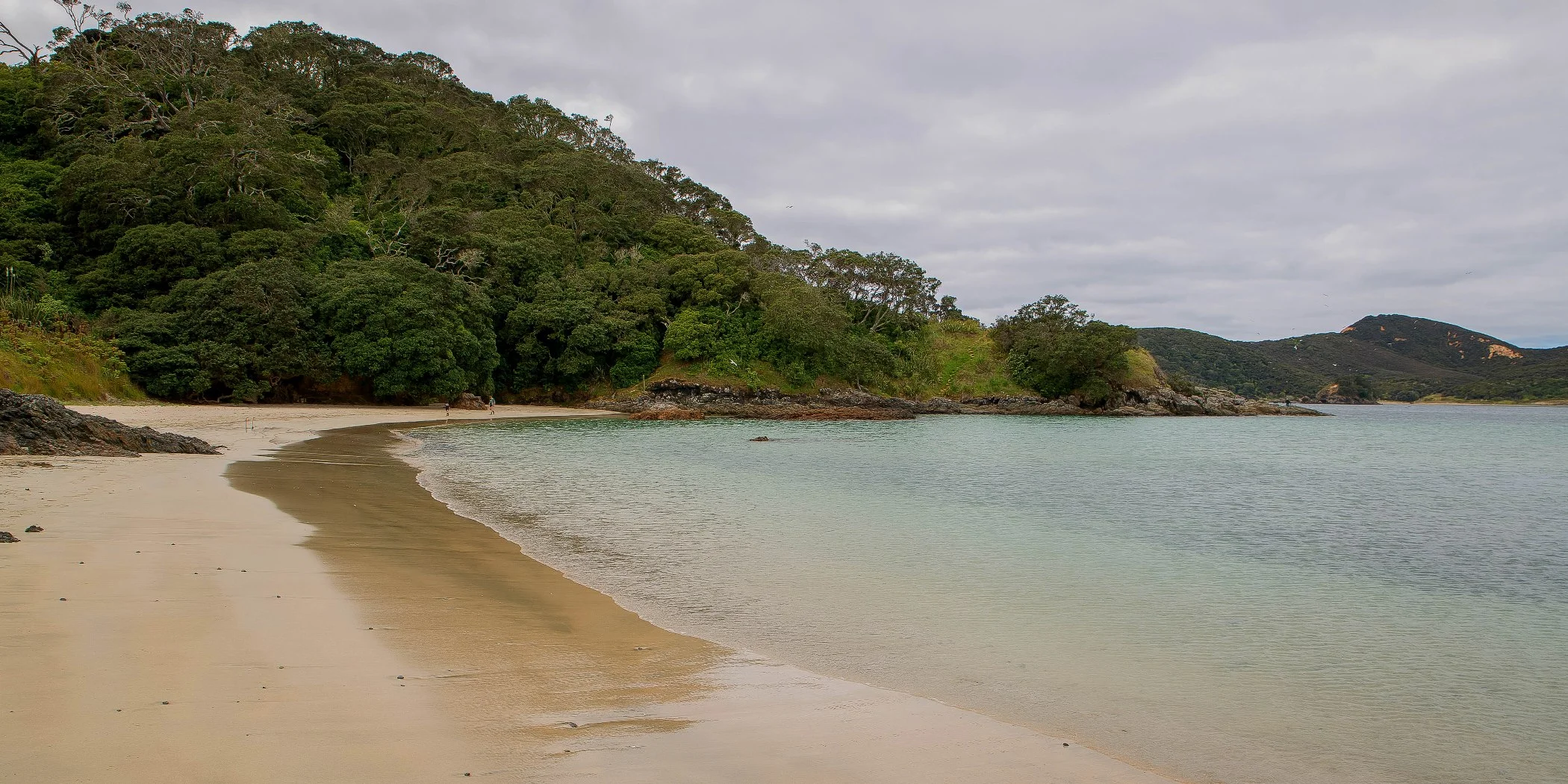 Matai Bay,d-161.jpg