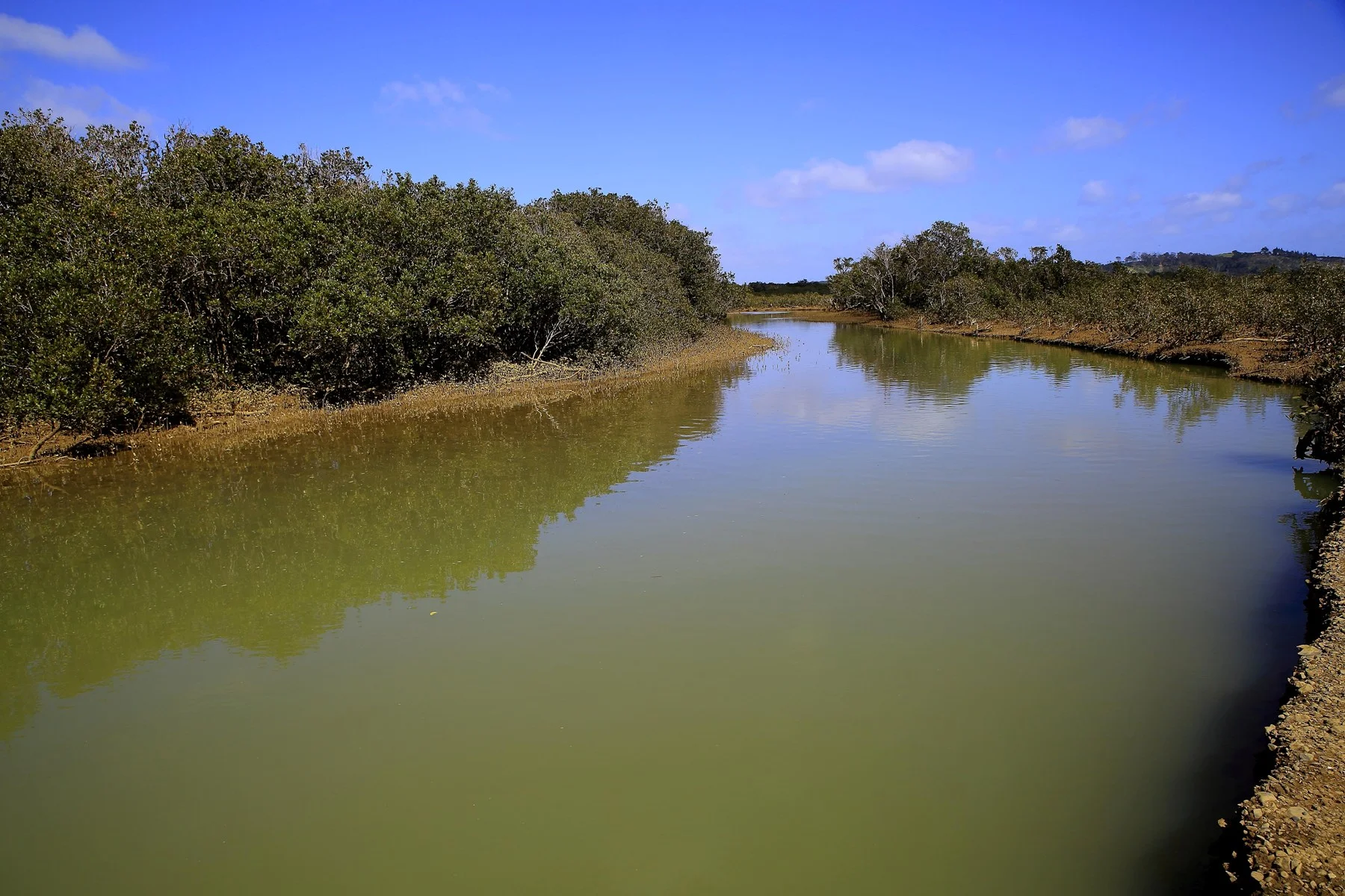 Oruaiti River,d-267.jpg