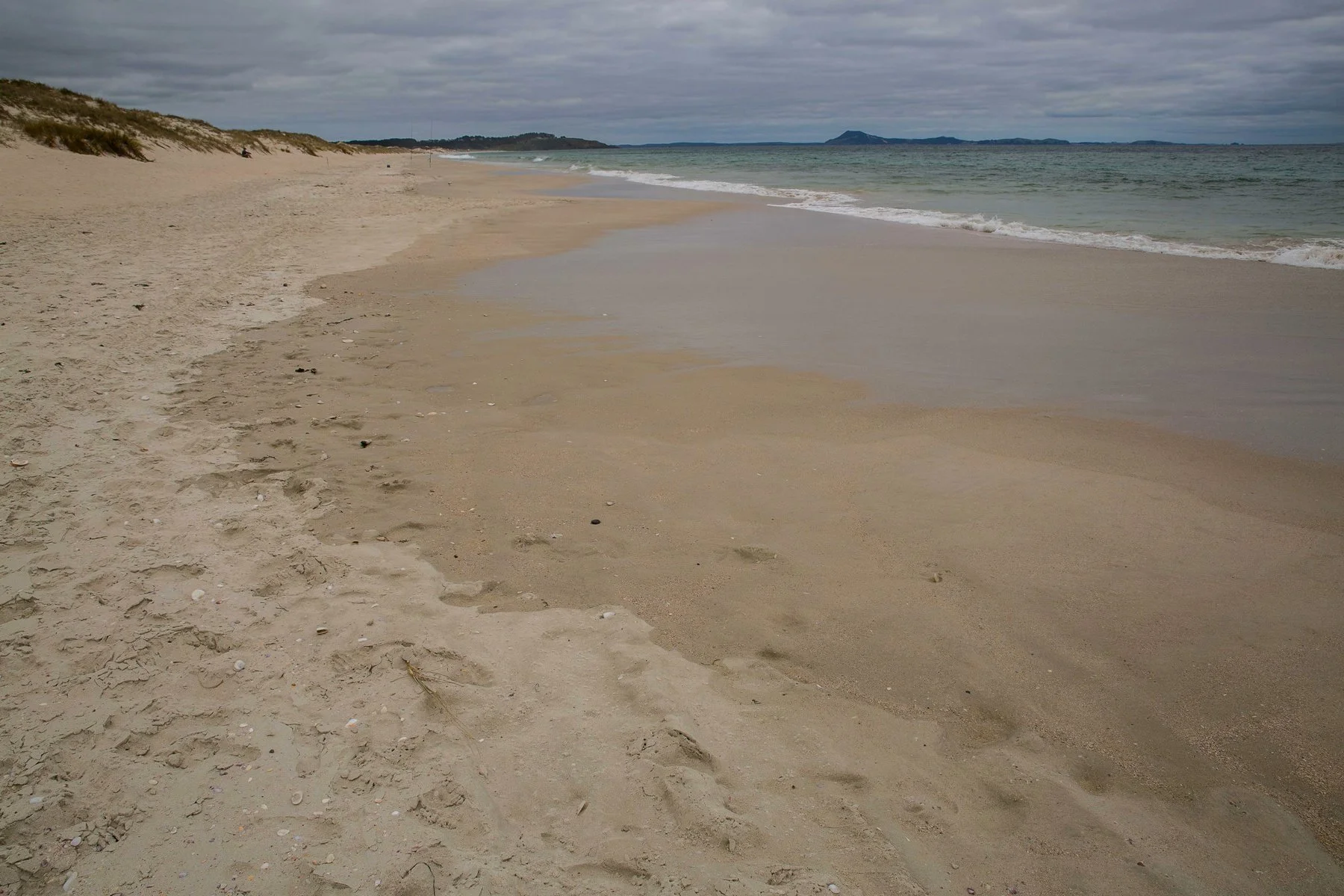 Puheke Beach,d-117.jpg