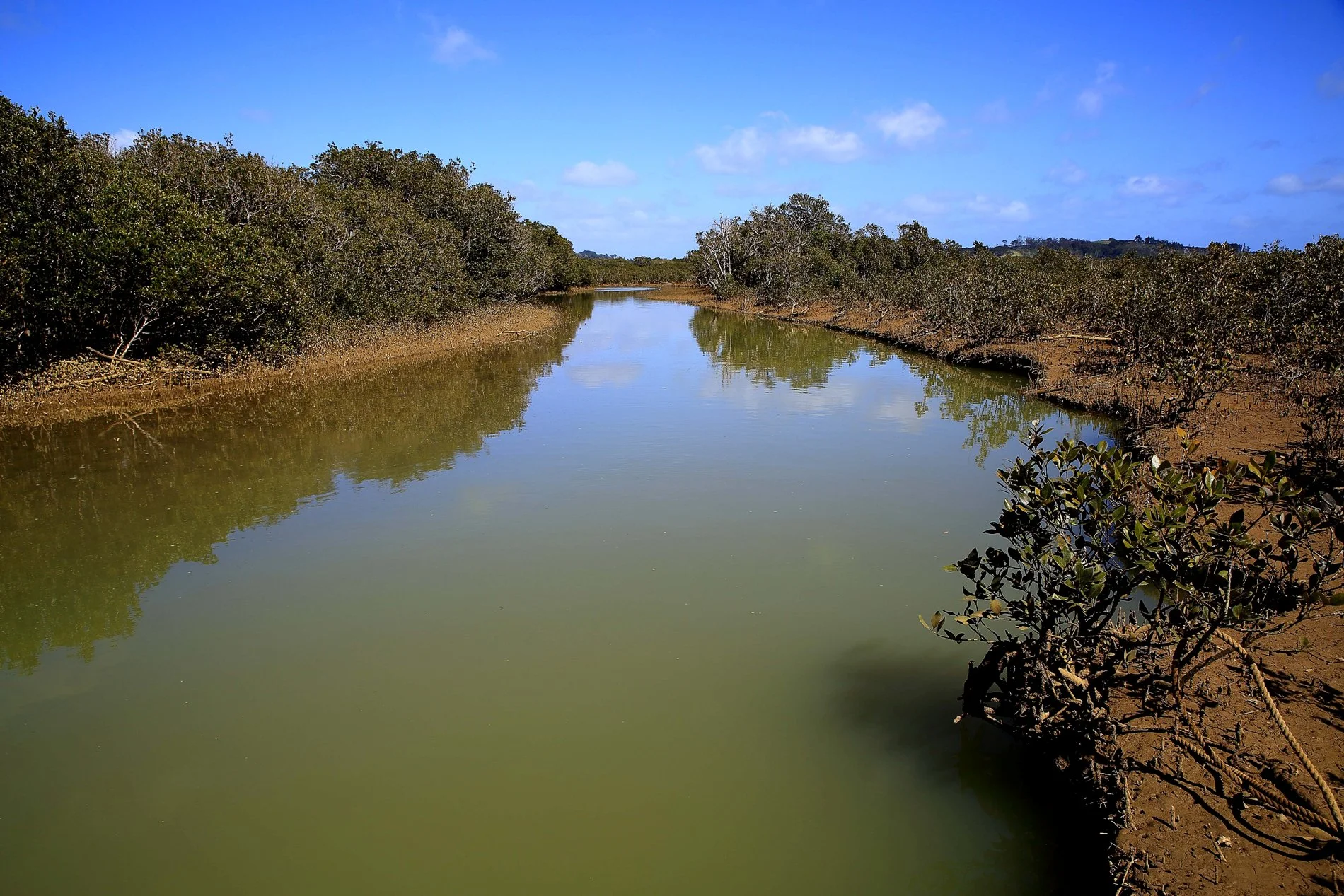 Oruaiti River,d-269.jpg
