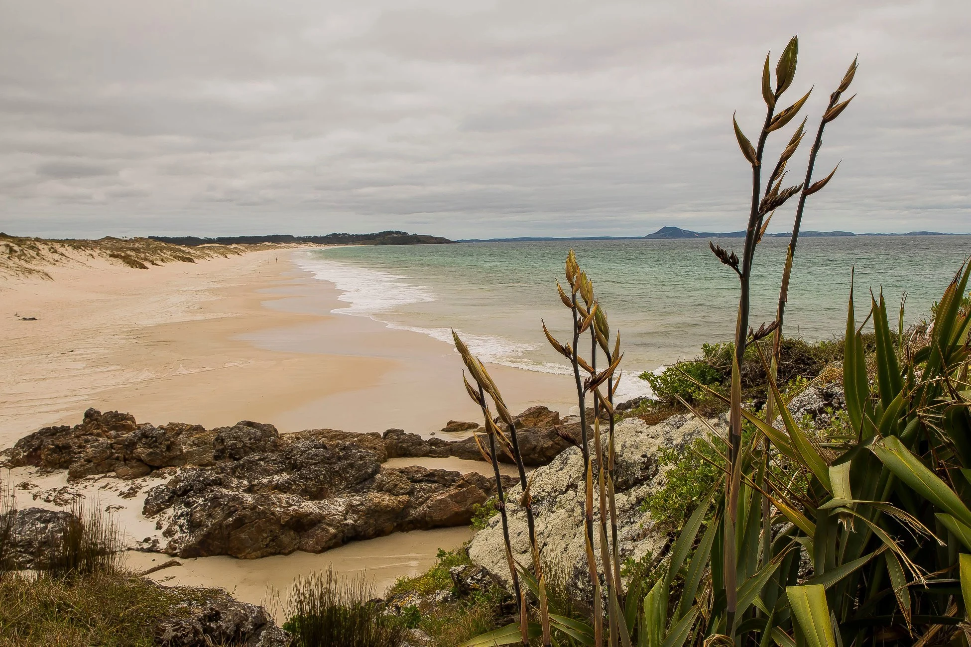Puheke Beach,d-132.jpg