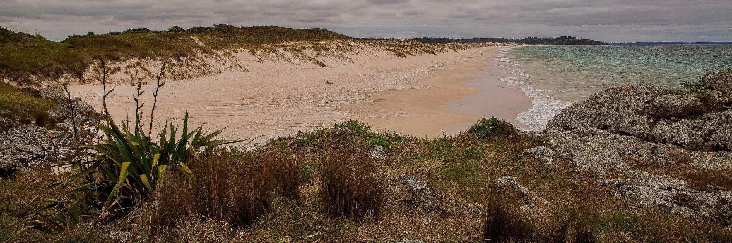 Puheke Beach,d-135.jpg