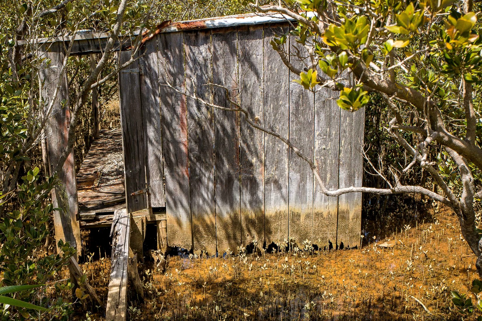 Whangaroa Harbour,d-307.jpg