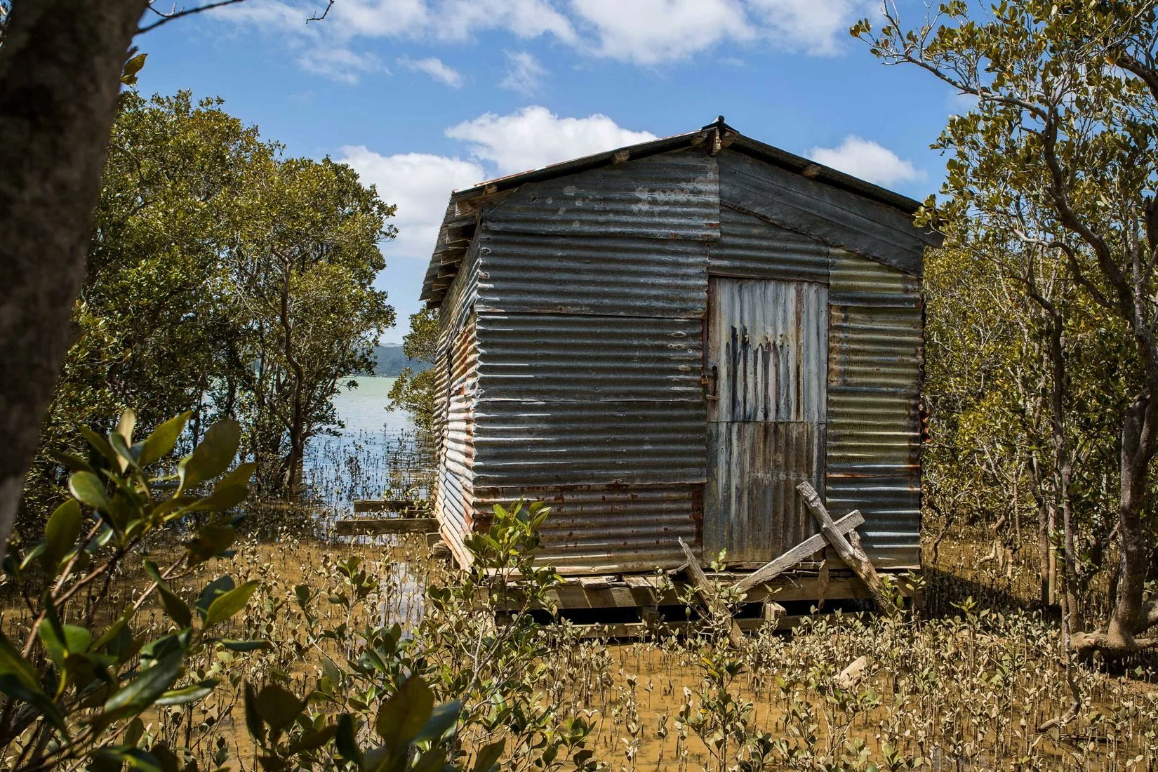 Whangaroa Harbour,d-312.jpg
