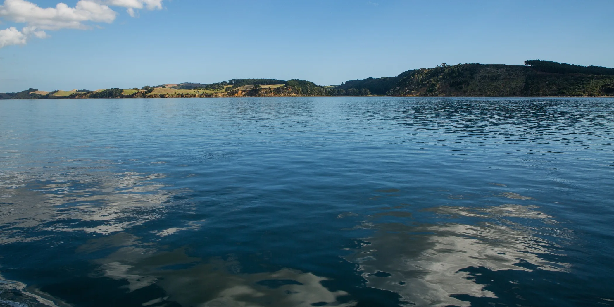 Kaipara Harbour,d-327.jpg