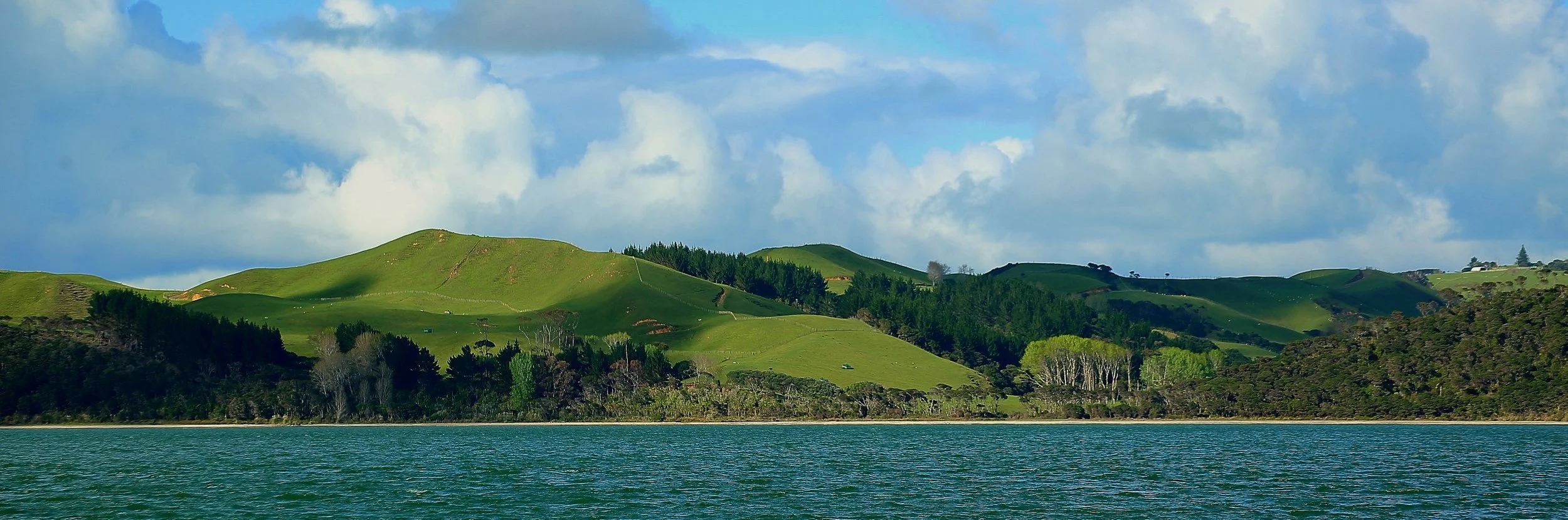 Kaipara Harbour,d360,-.jpg