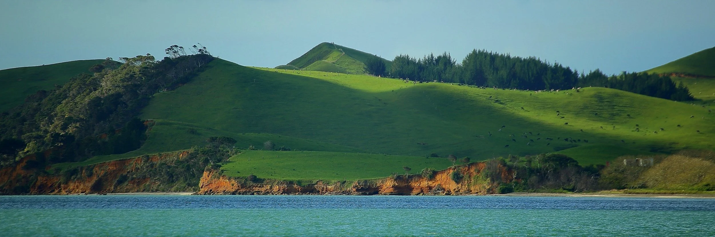 Kaipara Harbour,d374,-.jpg