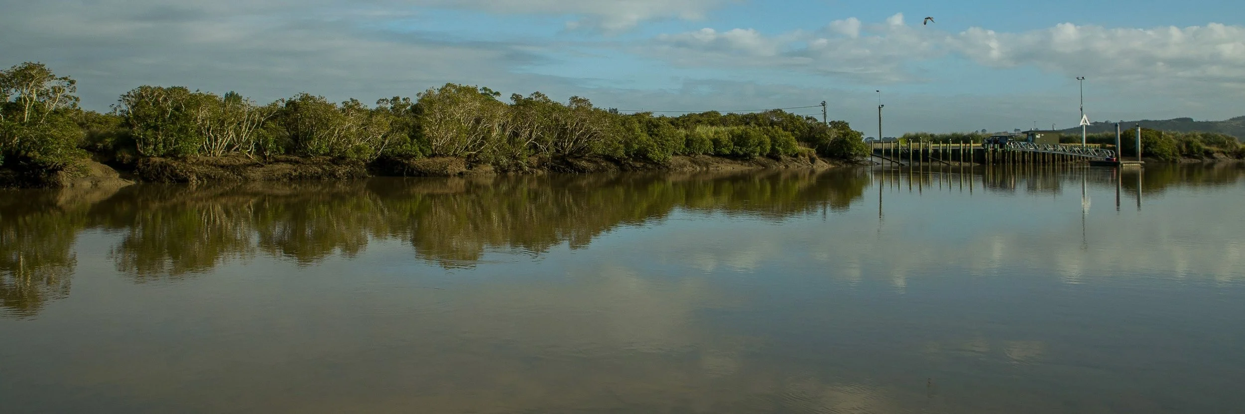 Kaipara River,d-272.jpg