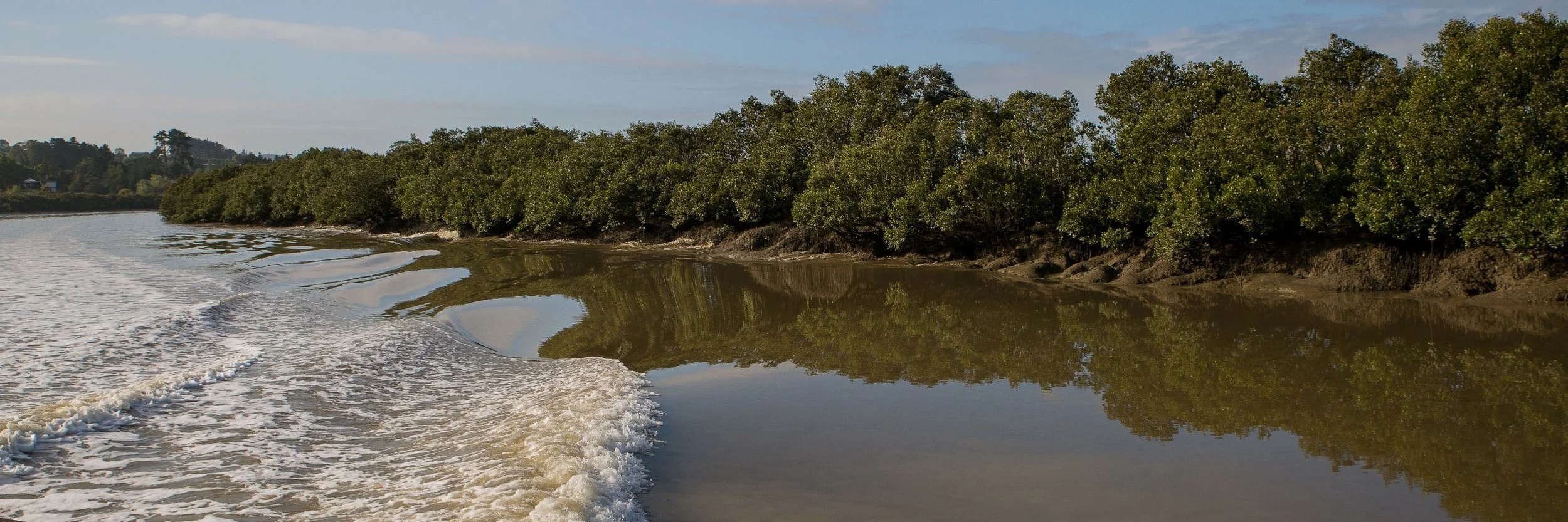 Kaipara River,d-273.jpg