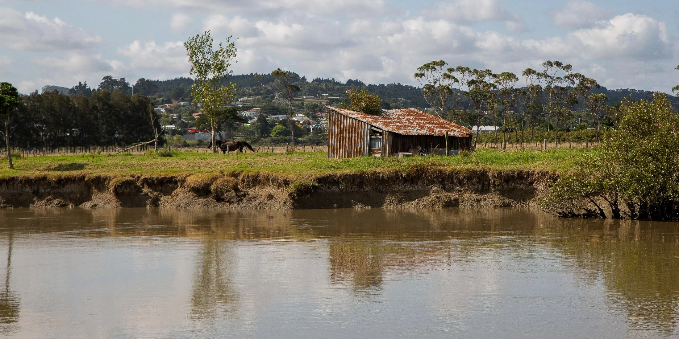 Kaipara River,d-312.jpg