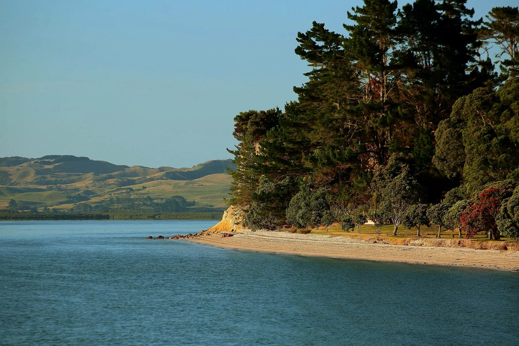 Shelly Beach,d-030.jpg