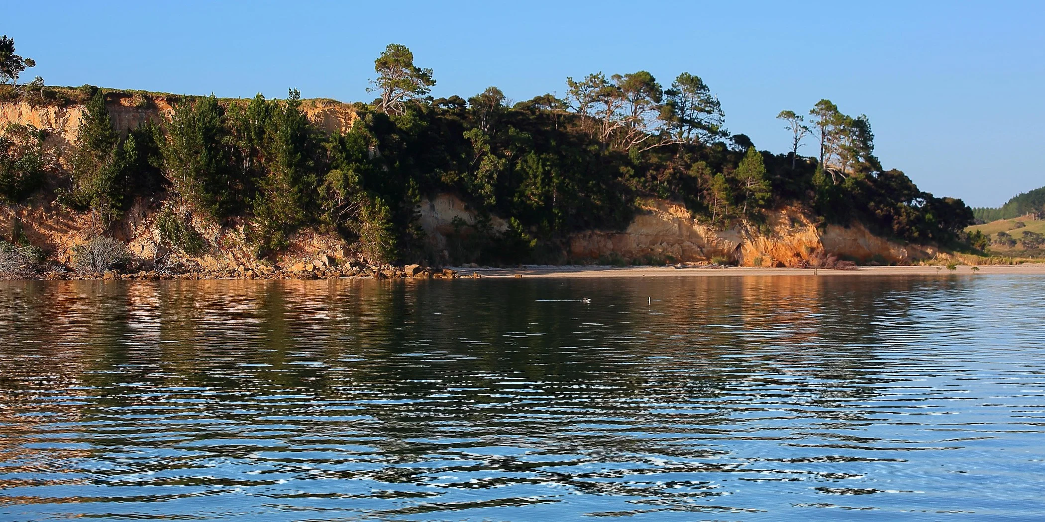 Shelly Beach,d033,-.jpg