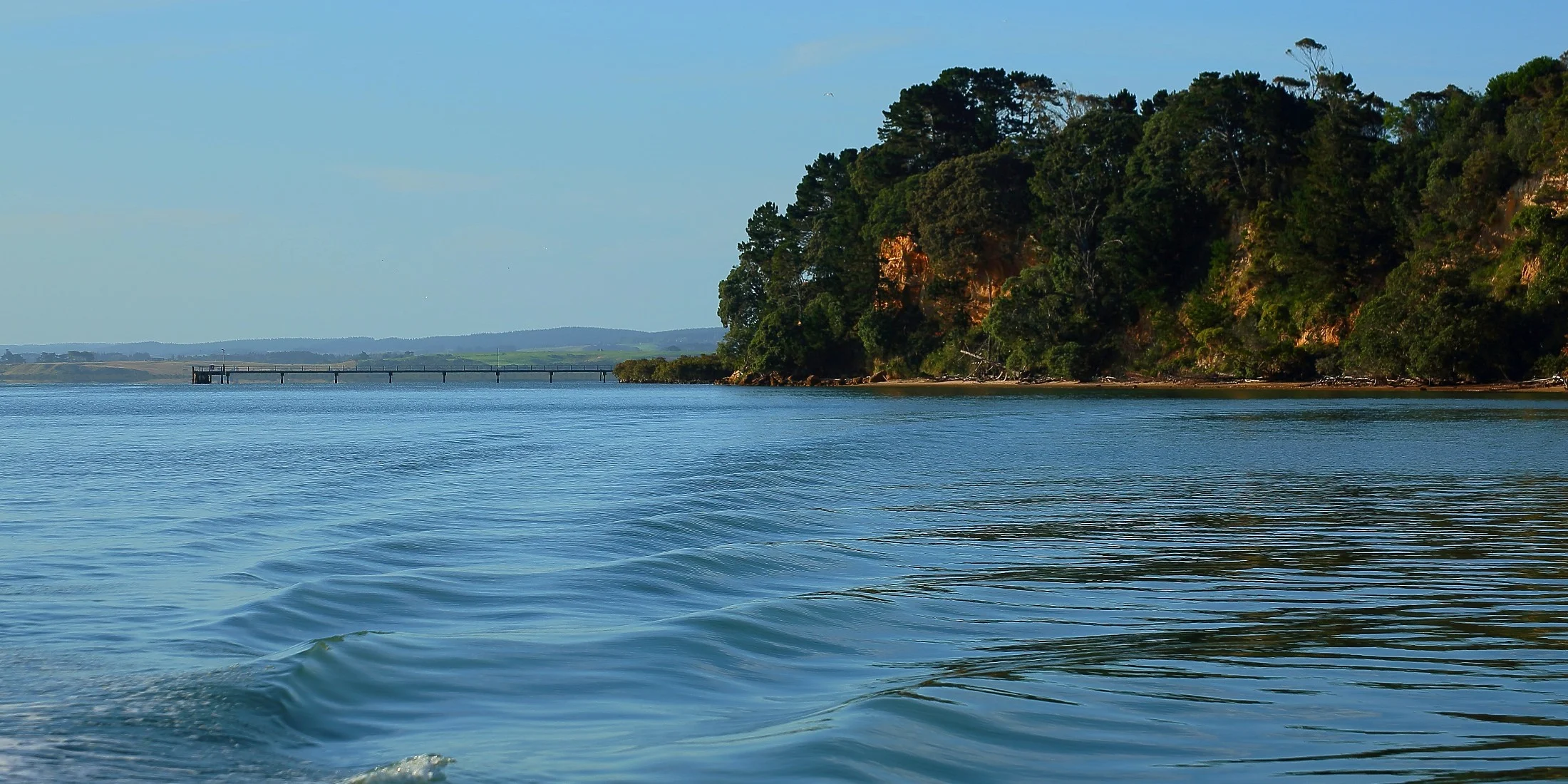 Shelly Beach,d034,-.jpg