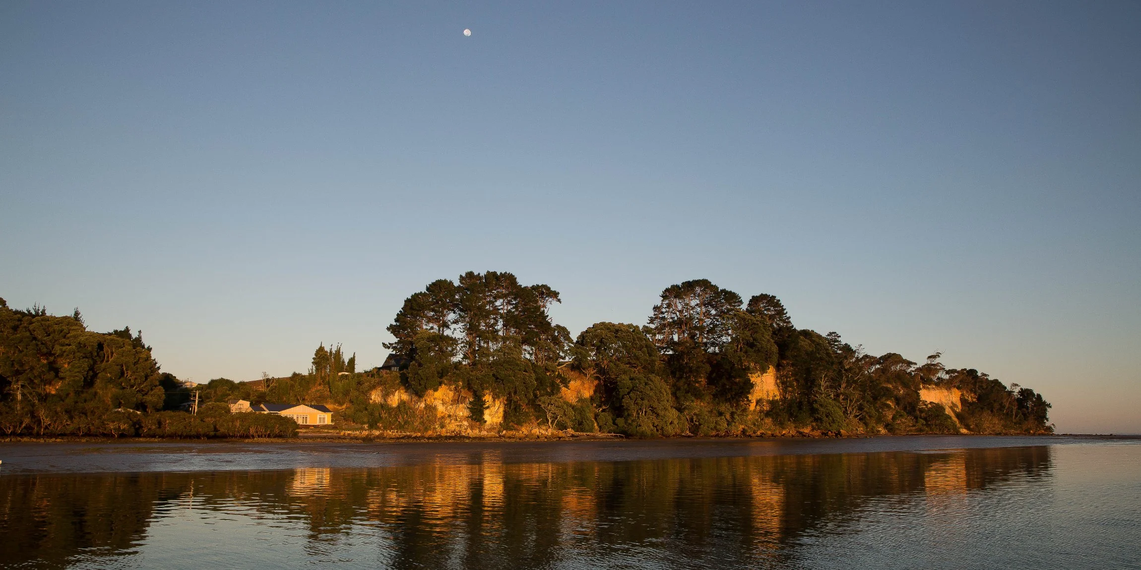 Shelly Beach,d-451.jpg