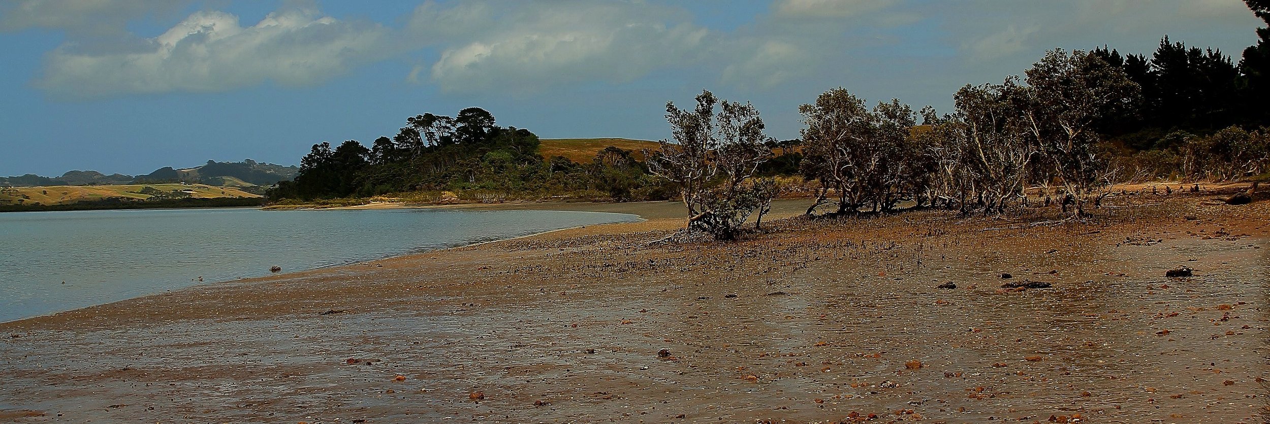 Shelly Beach,d486,-.jpg