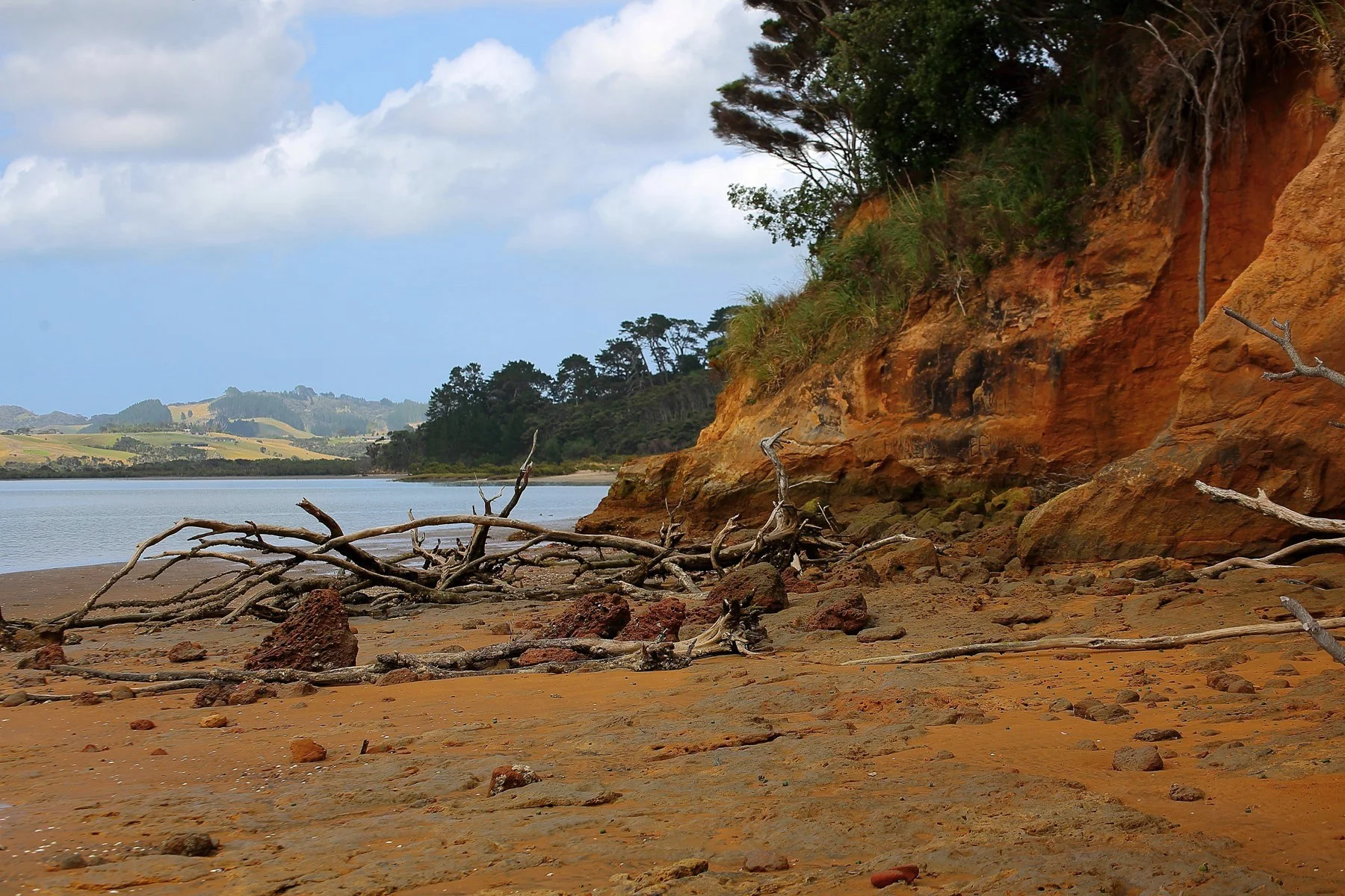 Shelly Beach,d-525.jpg