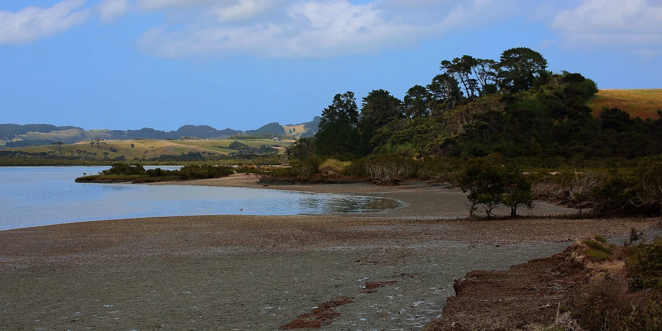 Shelly Beach,d527,-.jpg