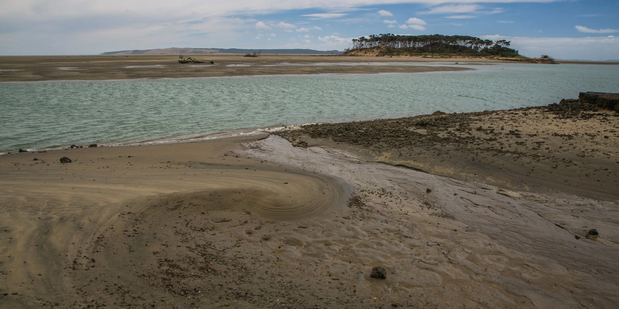 The Lagoon,Kaipara Harbour,-2913d.jpg