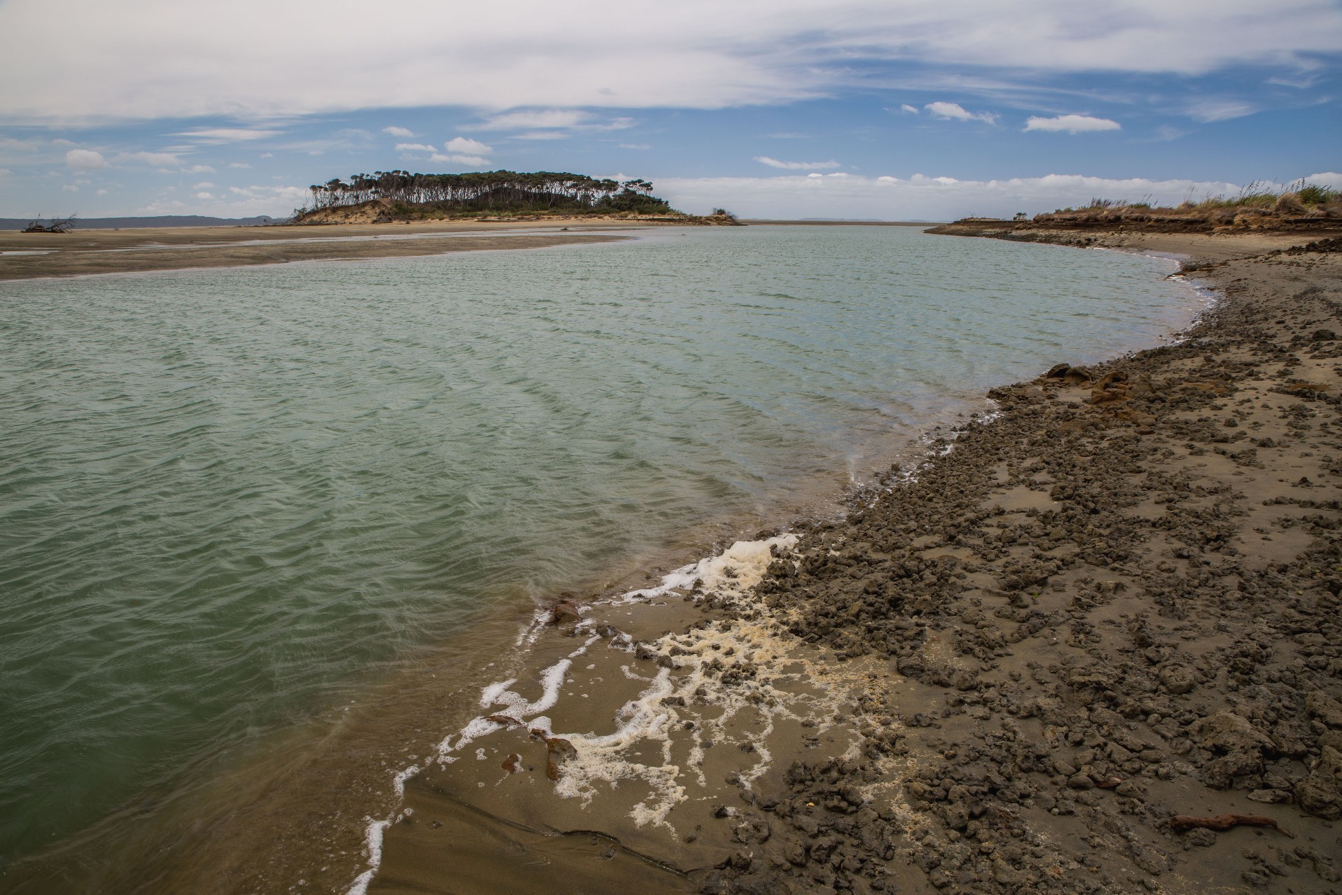 The Lagoon,Kaipara Harbour,-2916d.jpg