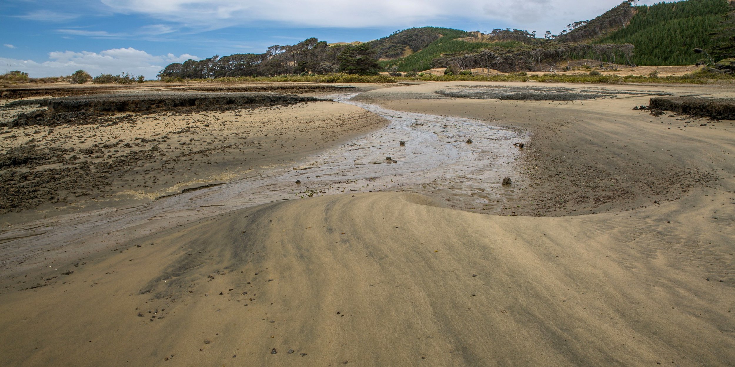 The Lagoon,Kaipara Harbour,-2915d.jpg