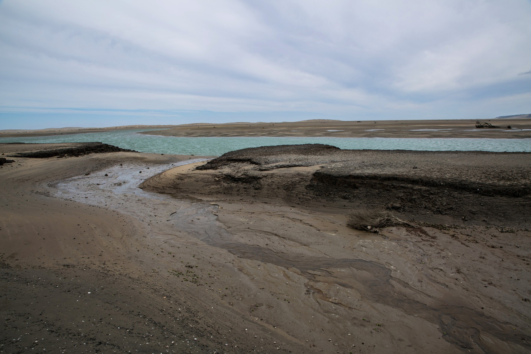The Lagoon,Kaipara Harbour,-2919d.jpg
