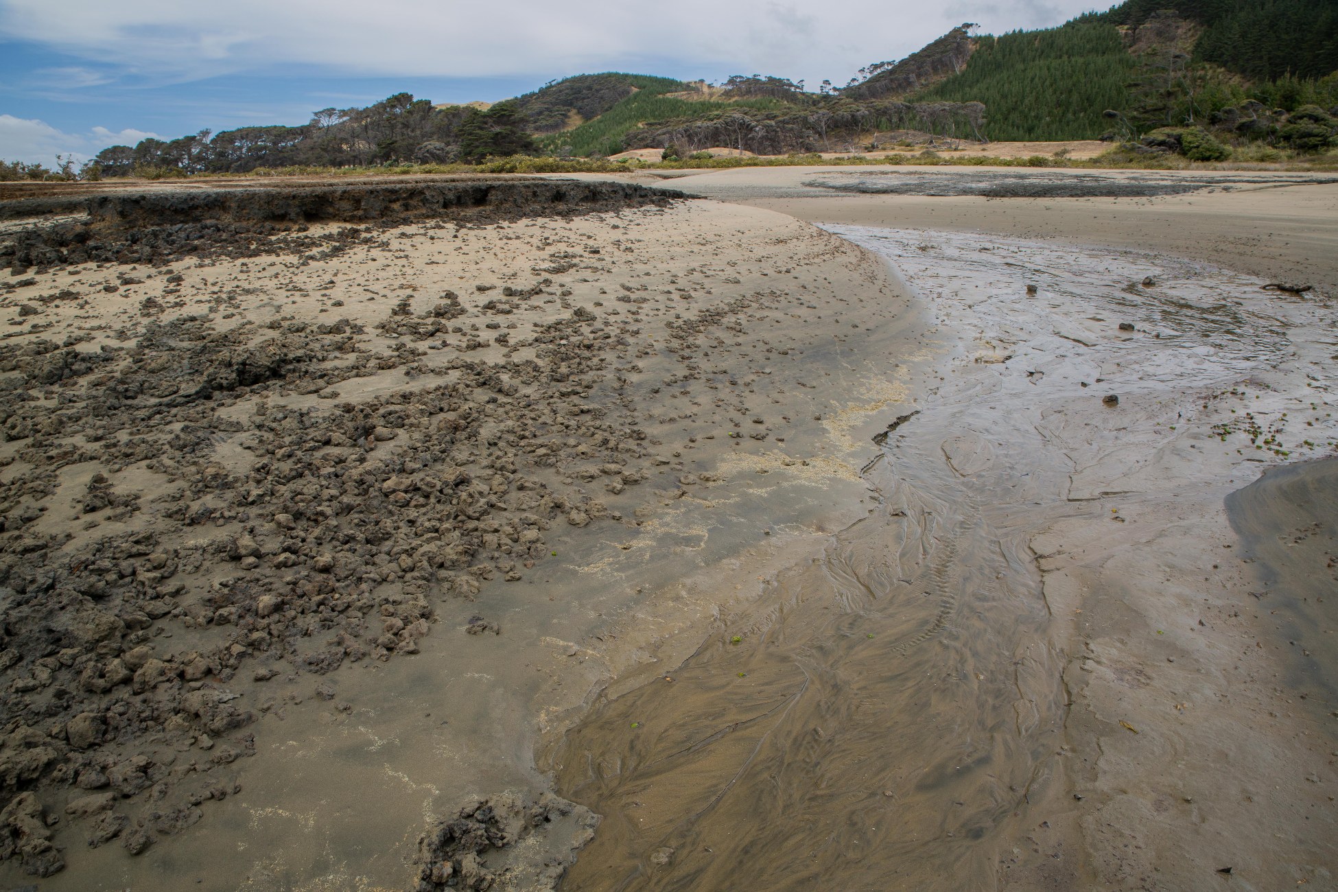 The Lagoon,Kaipara Harbour,-2918d.jpg