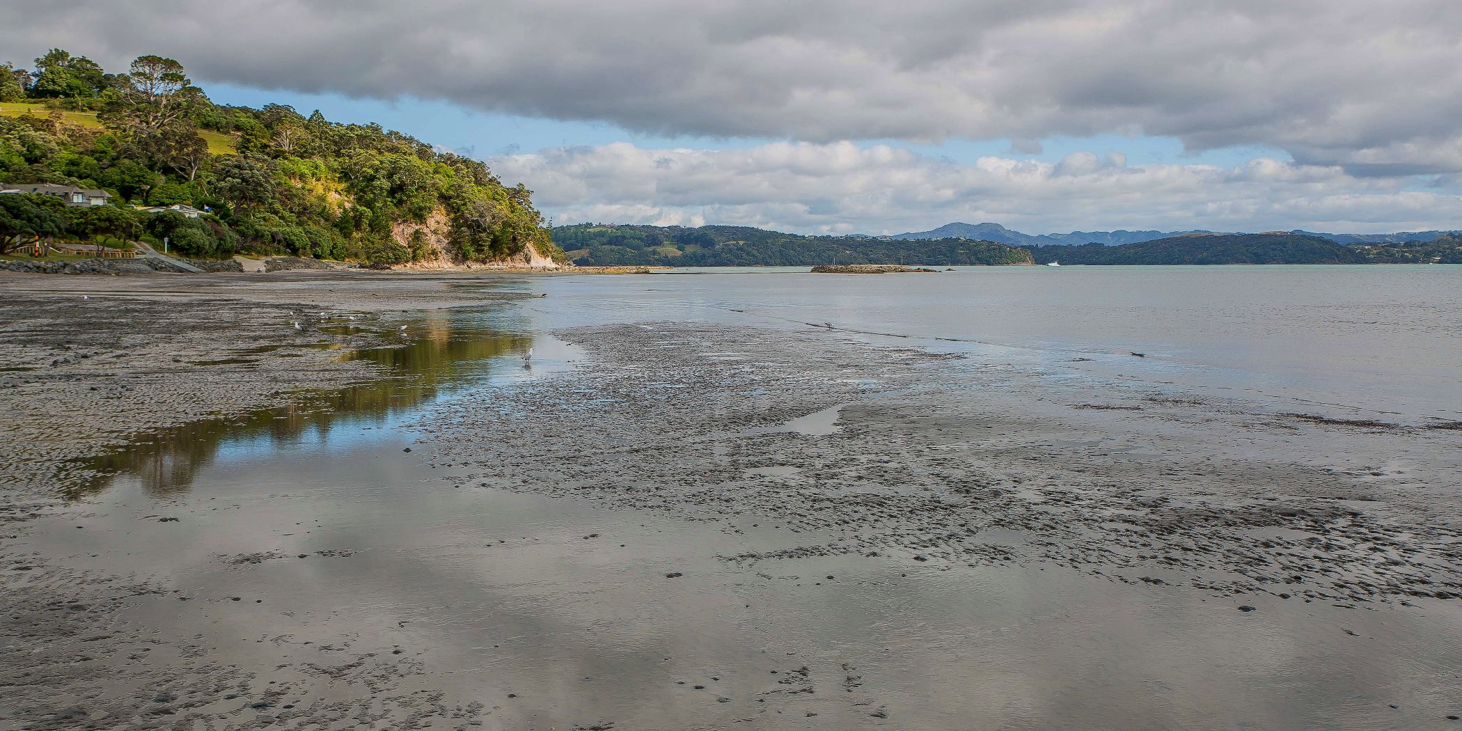 Algies Bay,d-087.jpg