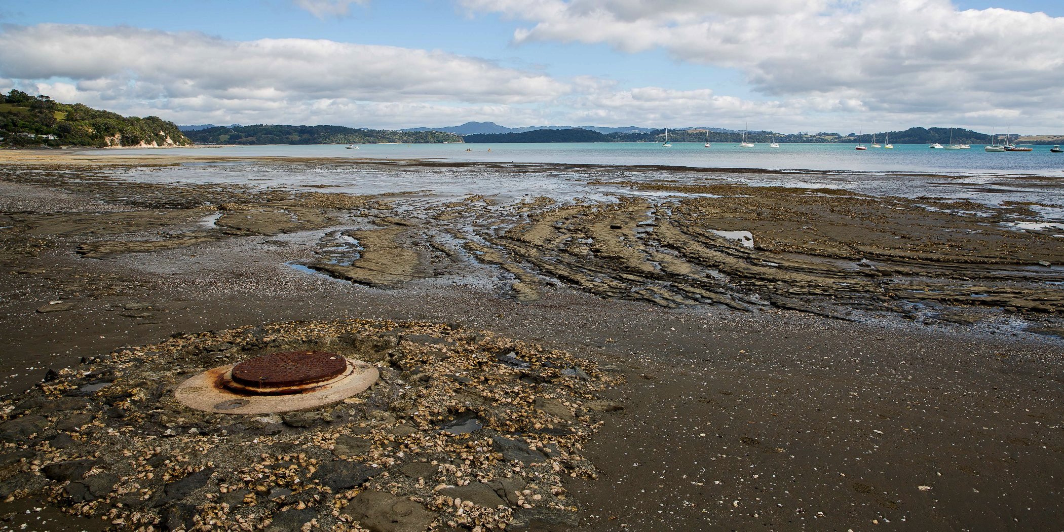 Algies Bay,d-095.jpg