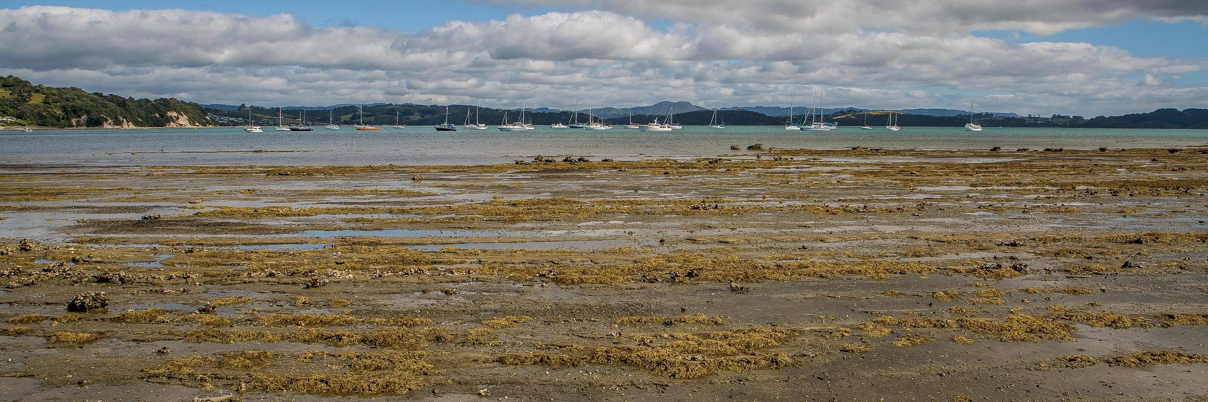 Algies Bay,d-103.jpg