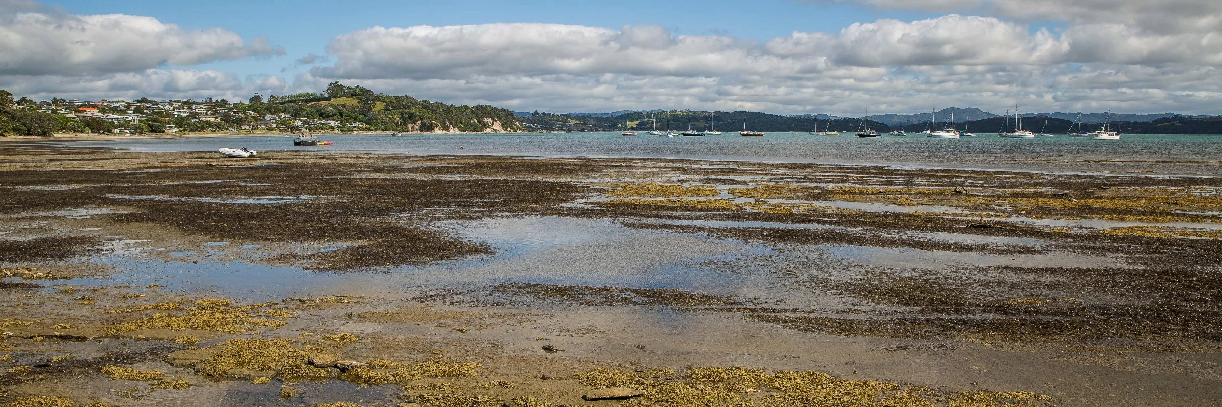 Algies Bay,d-105.jpg