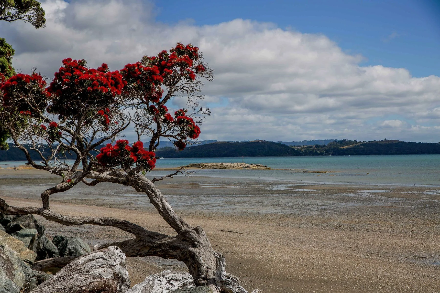 Algies Bay,d-115.jpg