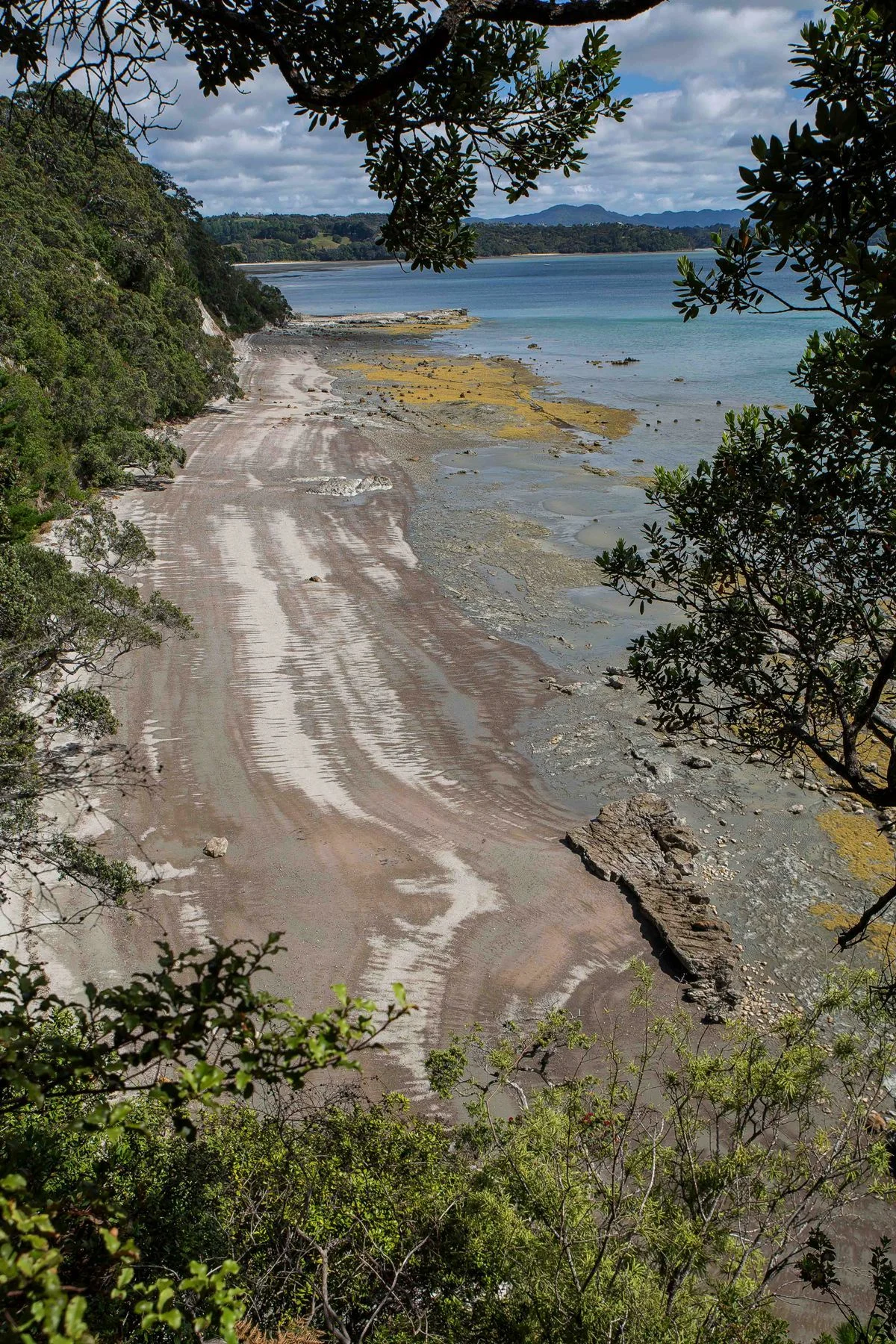 Algies Bay,d-124.jpg