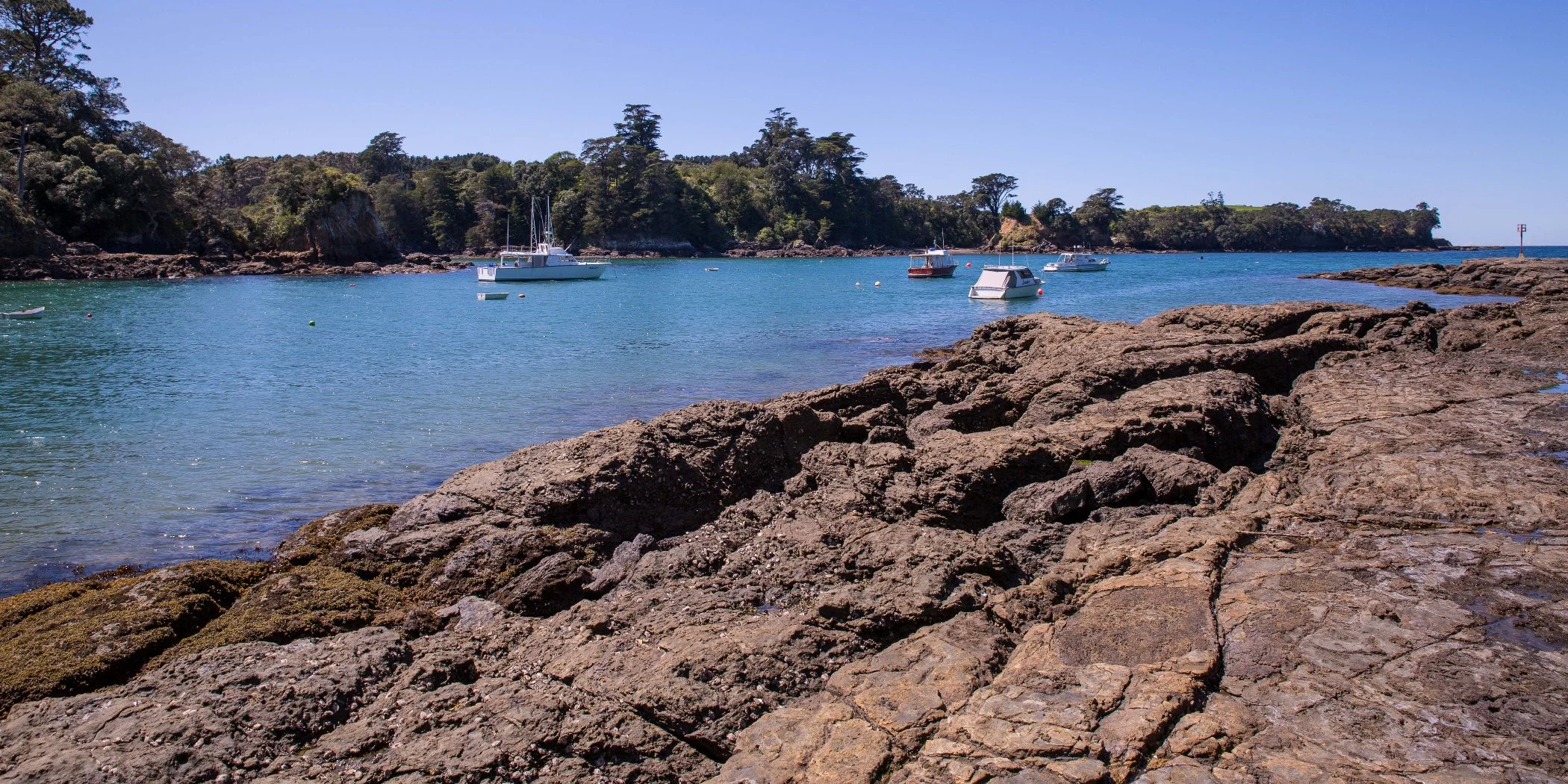 Leigh Harbour,d-220.jpg