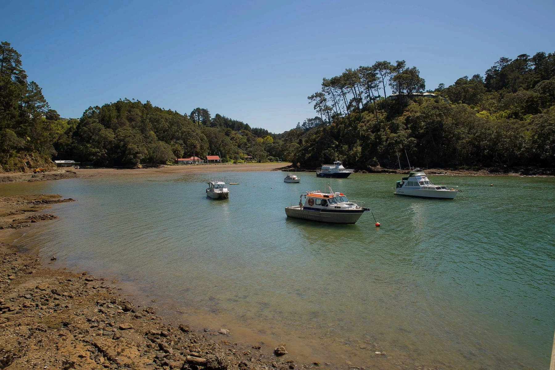 Leigh Harbour,d-222.jpg