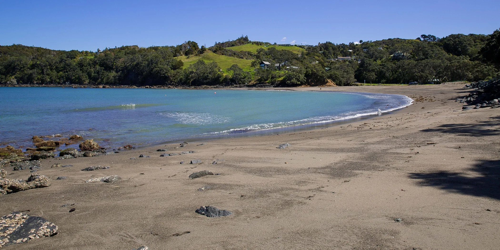 Mathesons Bay,d-235.jpg