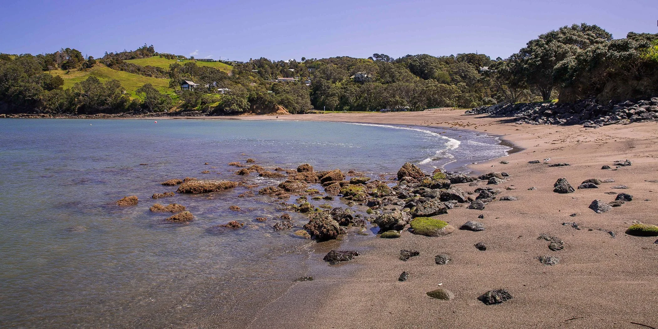 Mathesons Bay,d-236.jpg