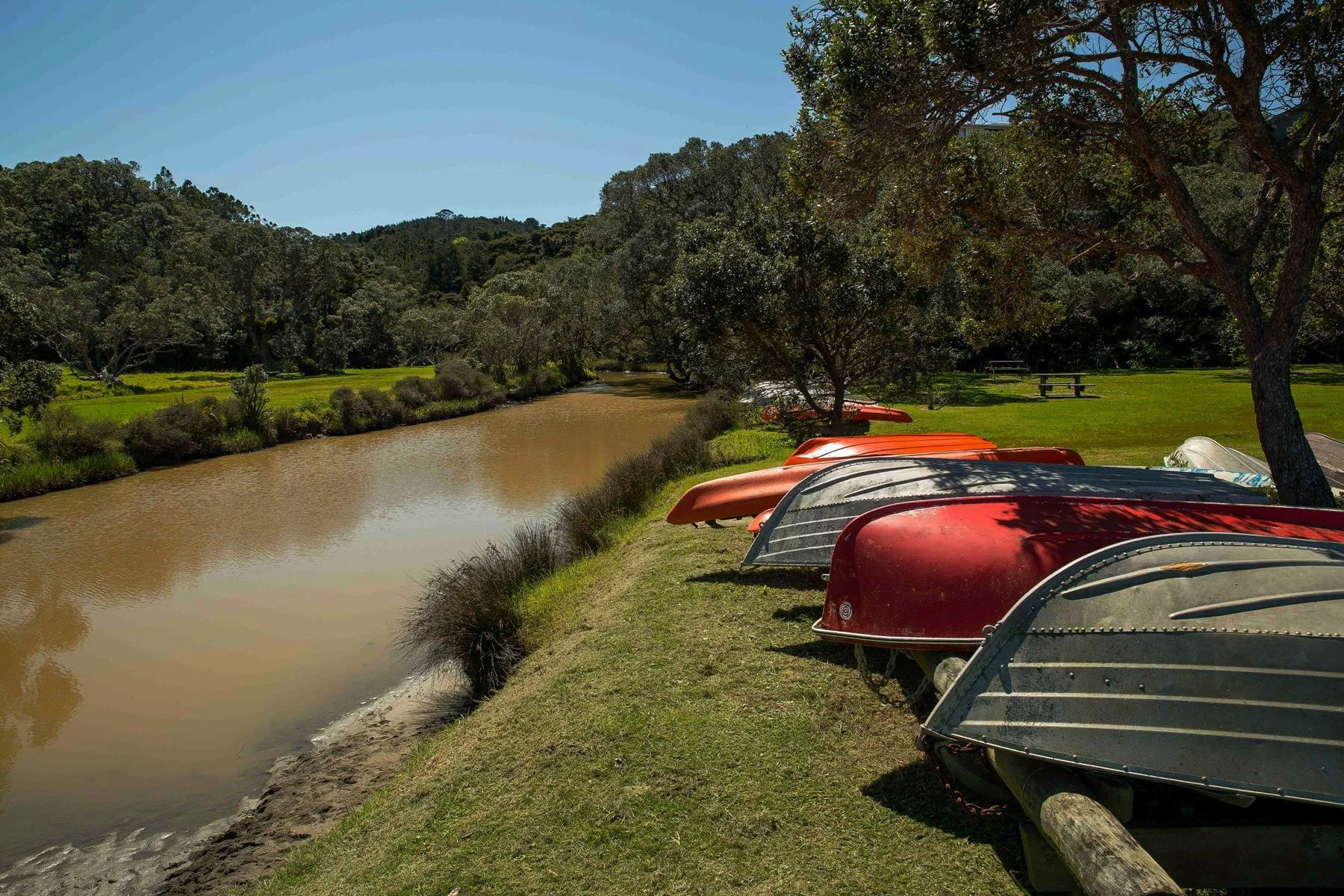 Mathesons Bay,d-249.jpg