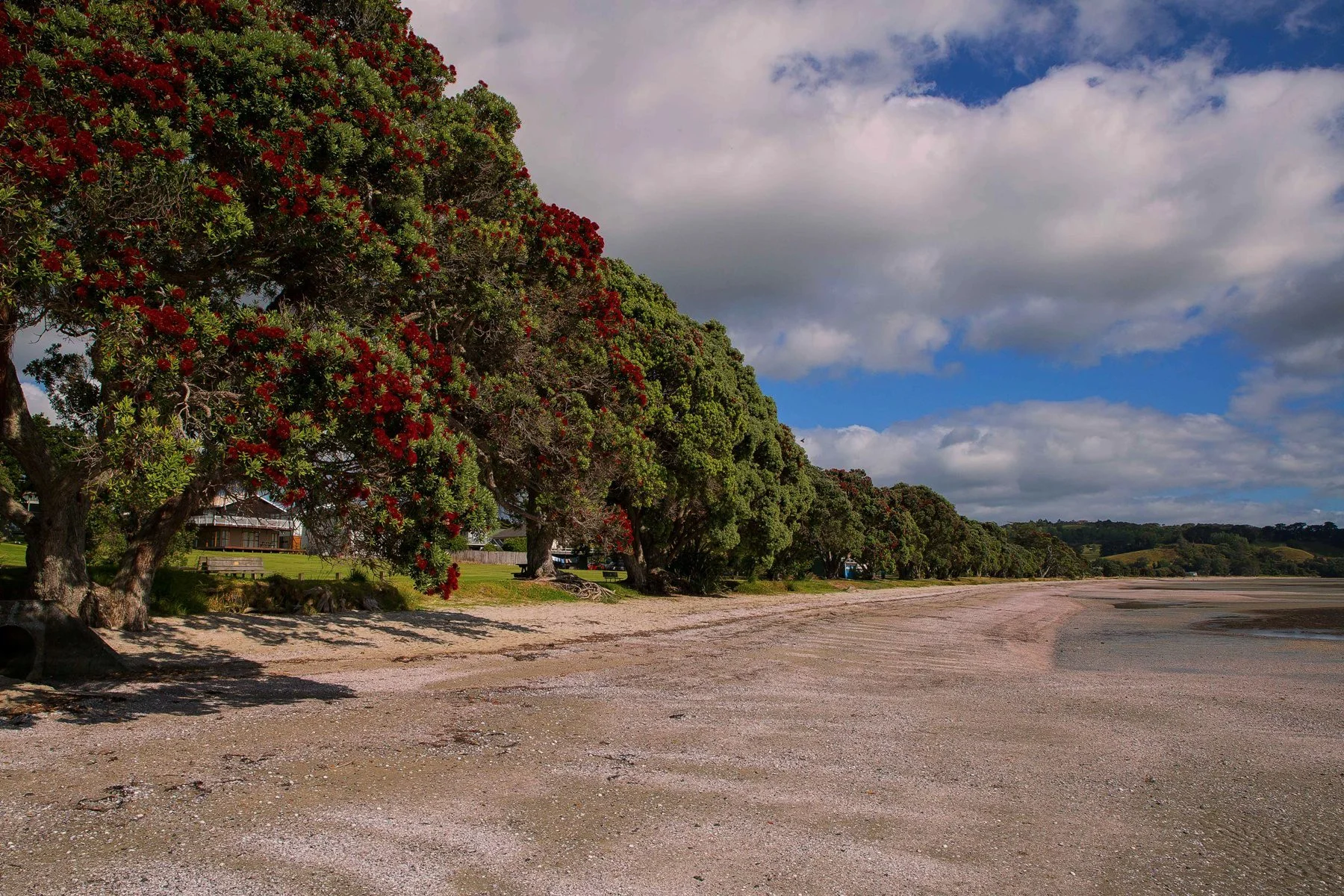 Snells Beach,d-006.jpg