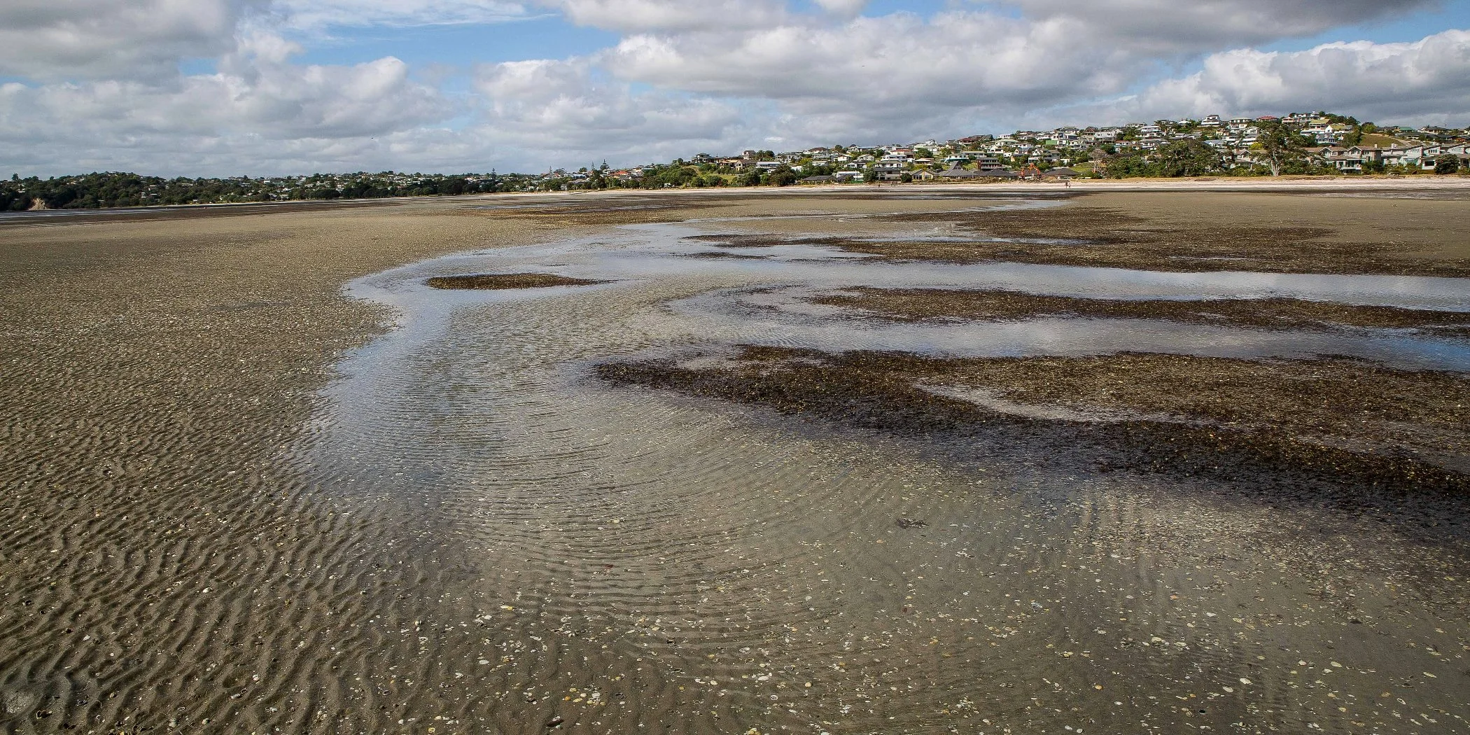 Snells Beach,d-020.jpg