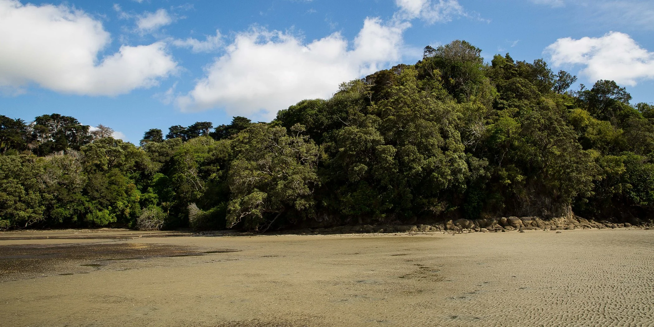 Snells Beach,d-023.jpg