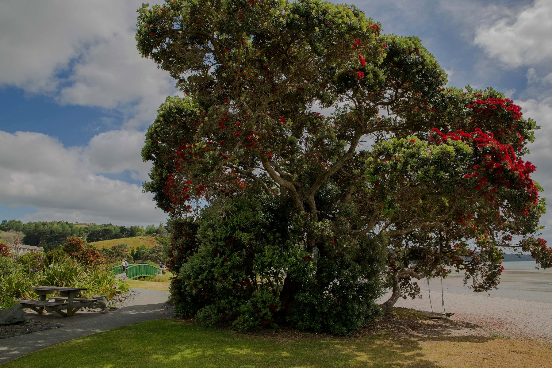 Snells Beach,d-050.jpg