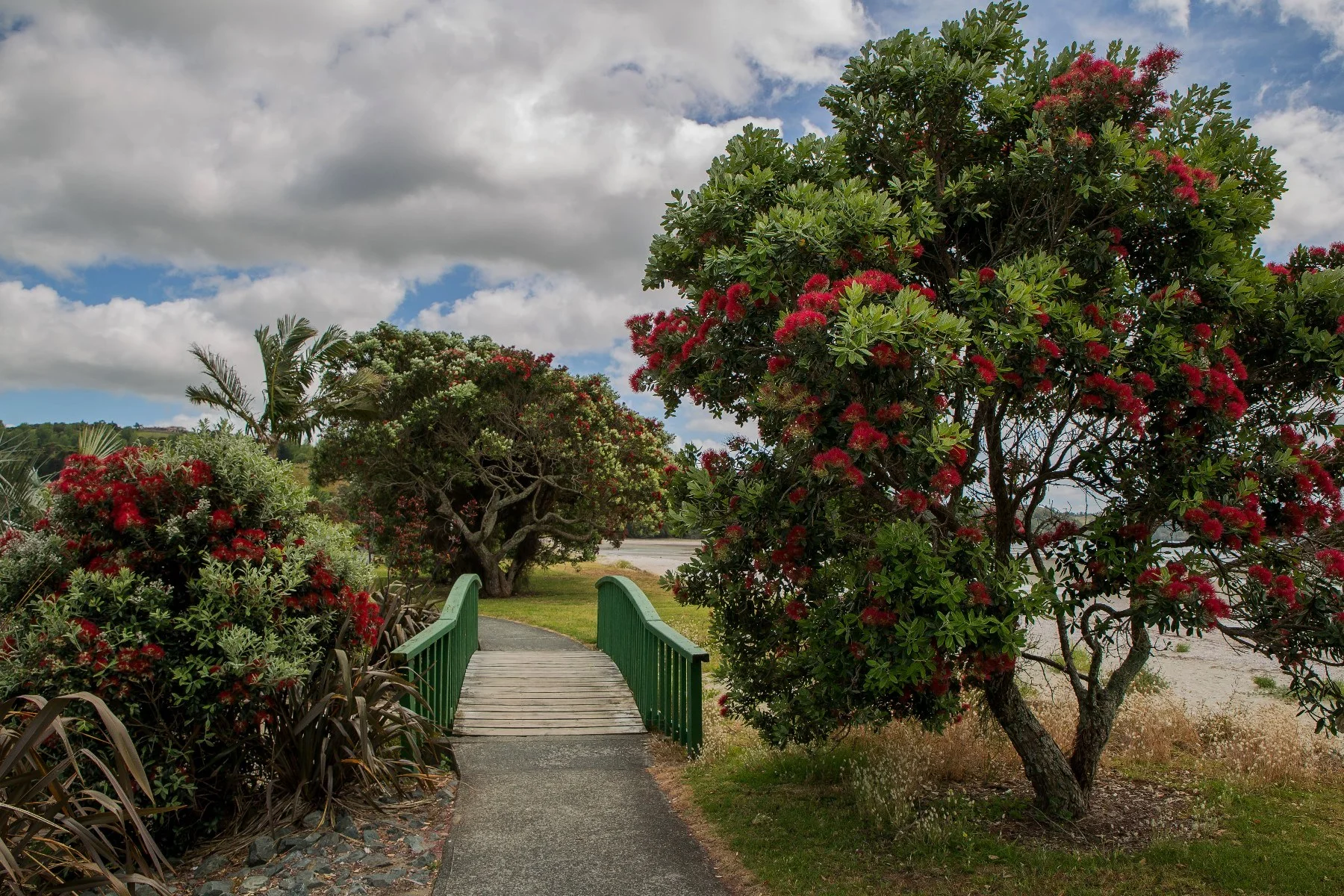 Snells Beach,d-057.jpg