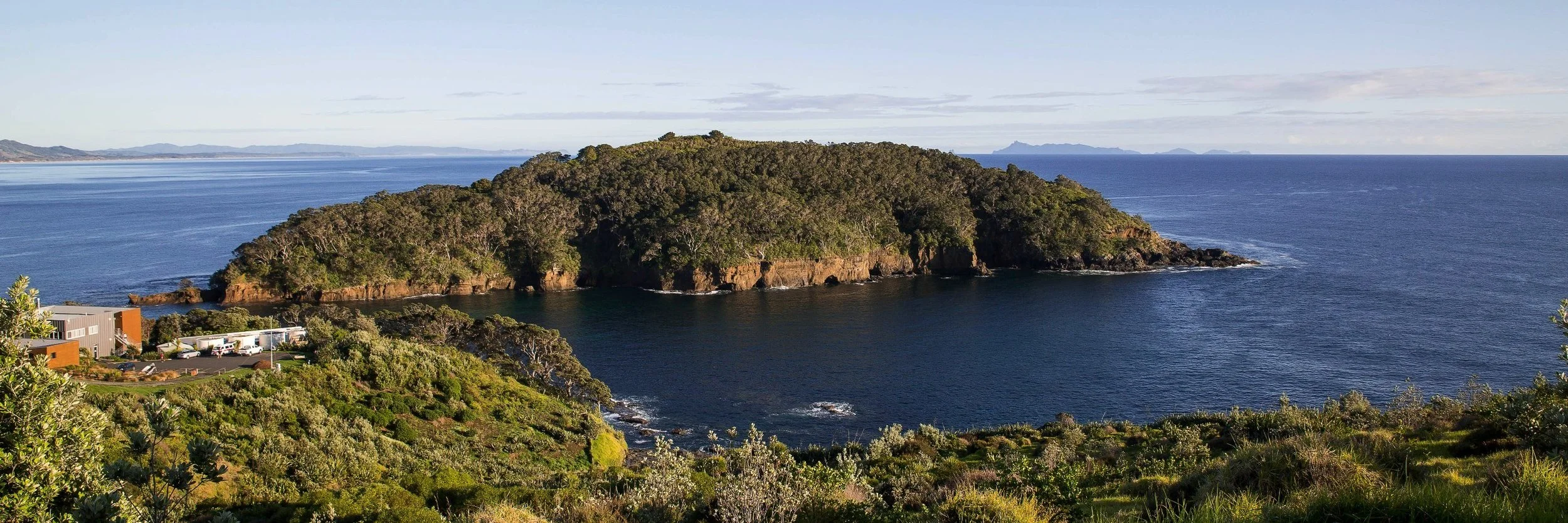 Goat Island,d-028.jpg