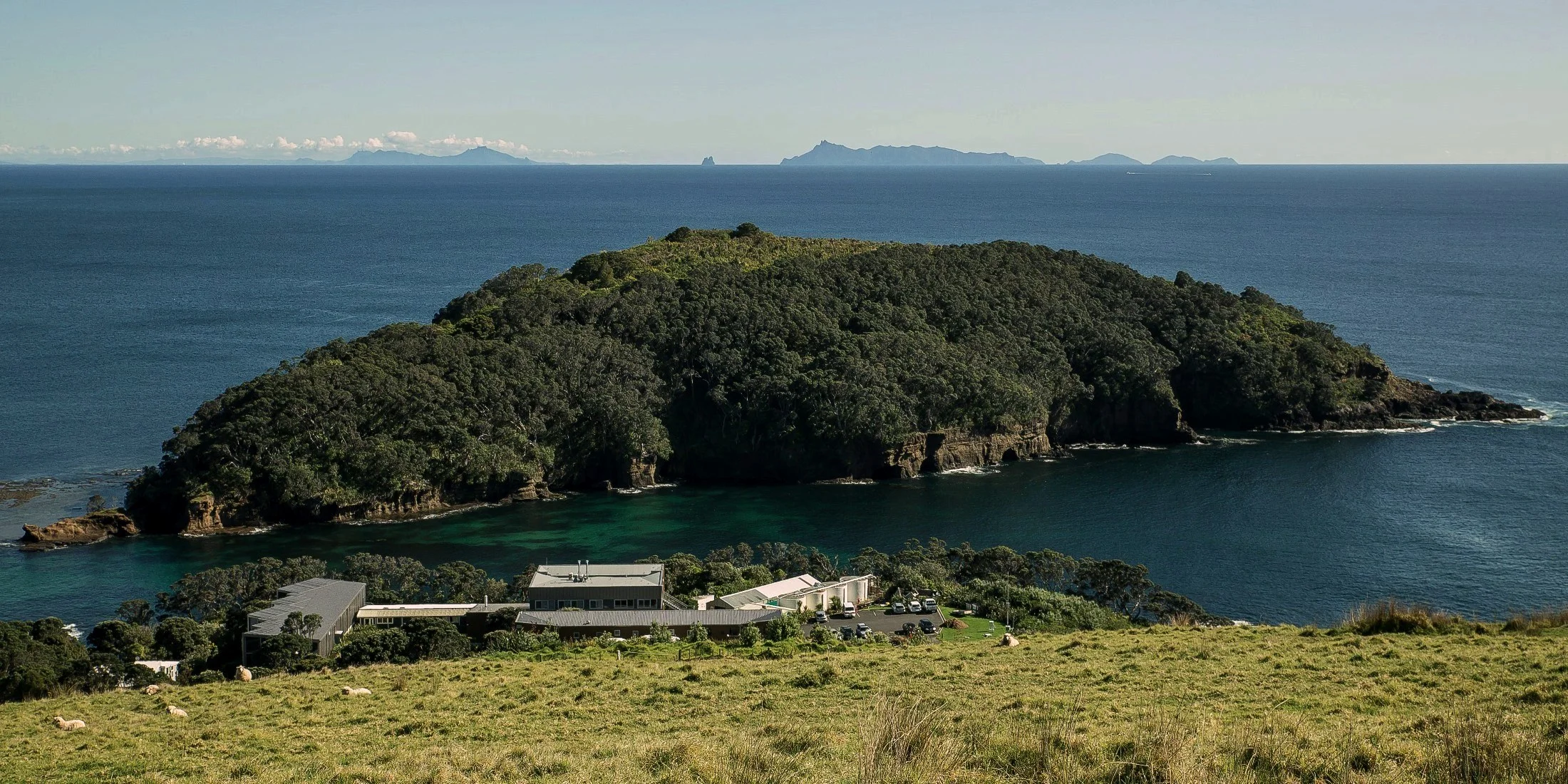 Goat Island,d-086.jpg