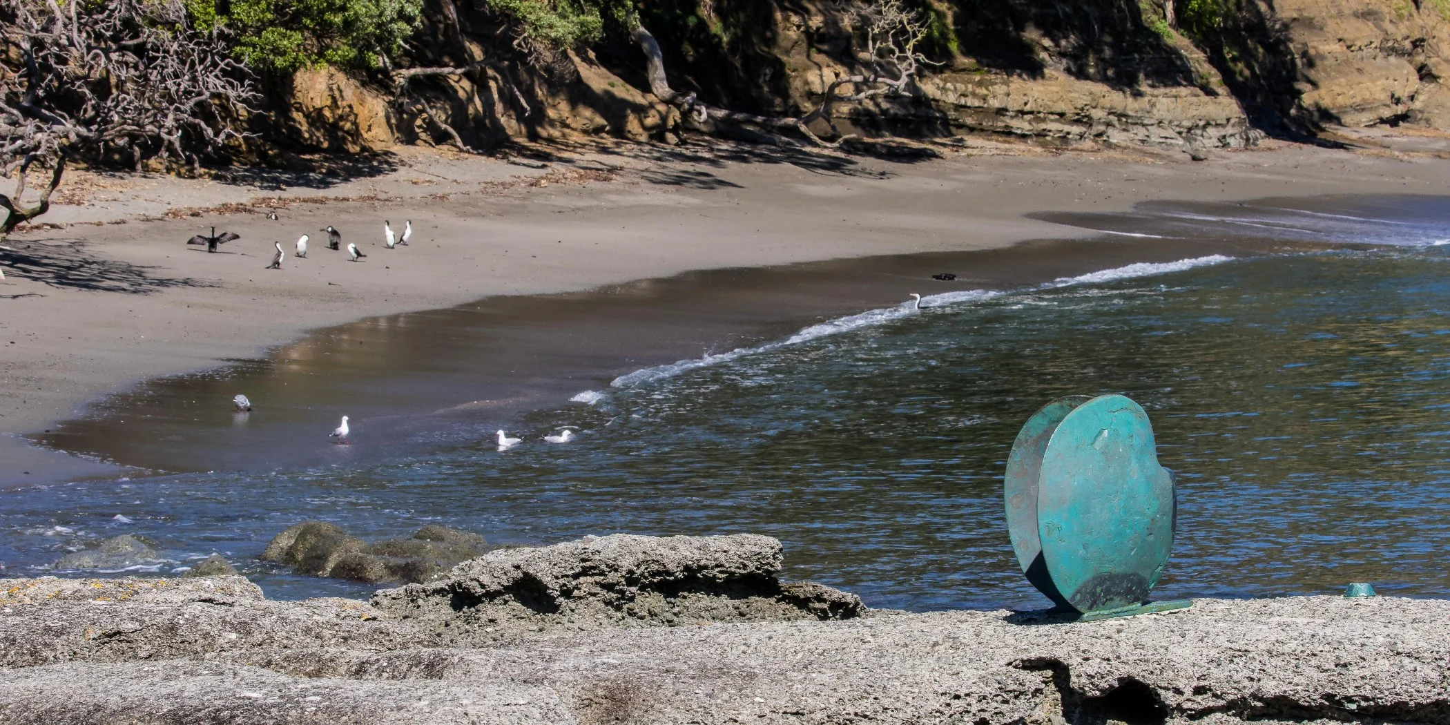 Goat Island,d-396.jpg