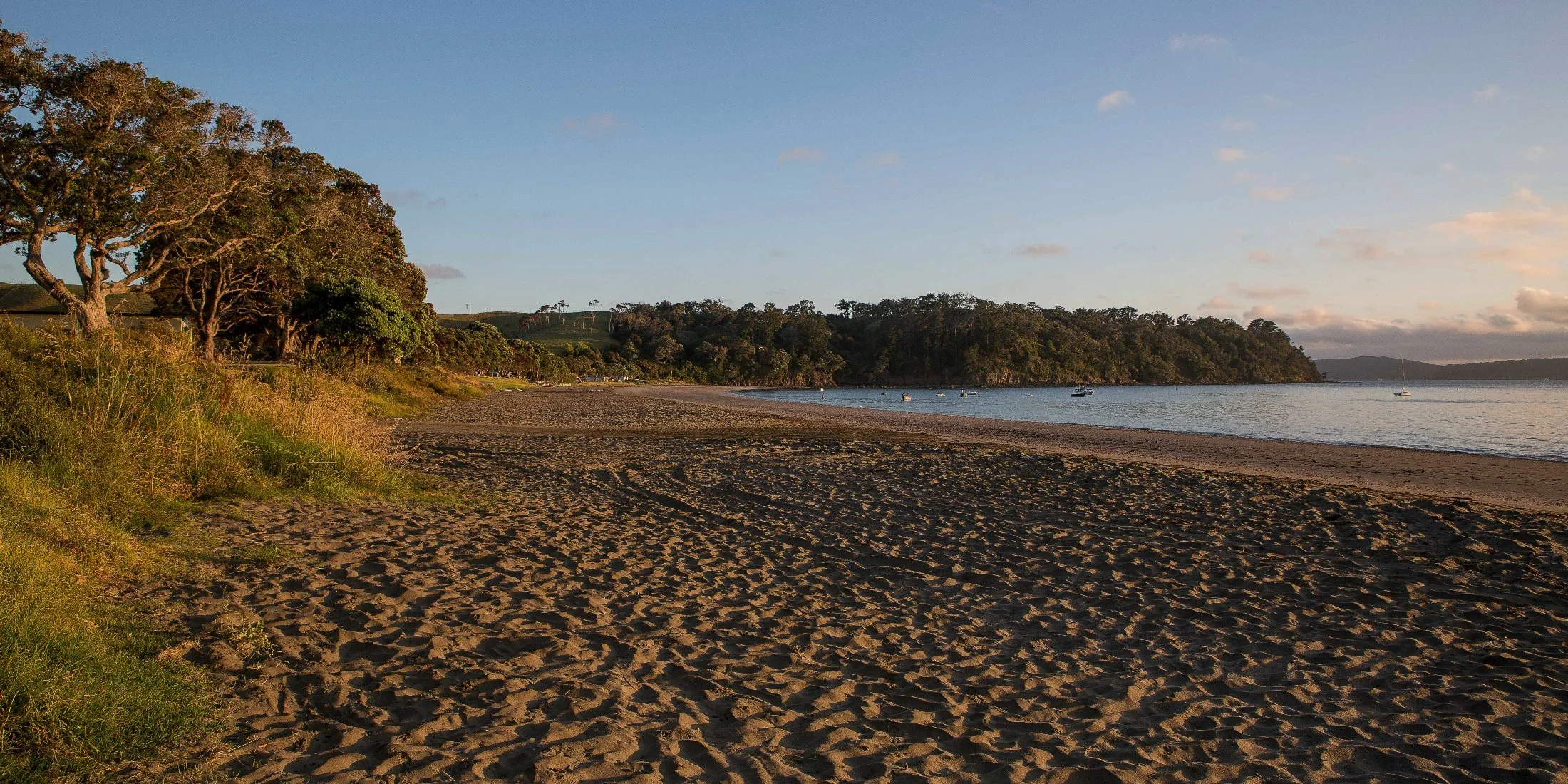 Martins bay,d-001.jpg