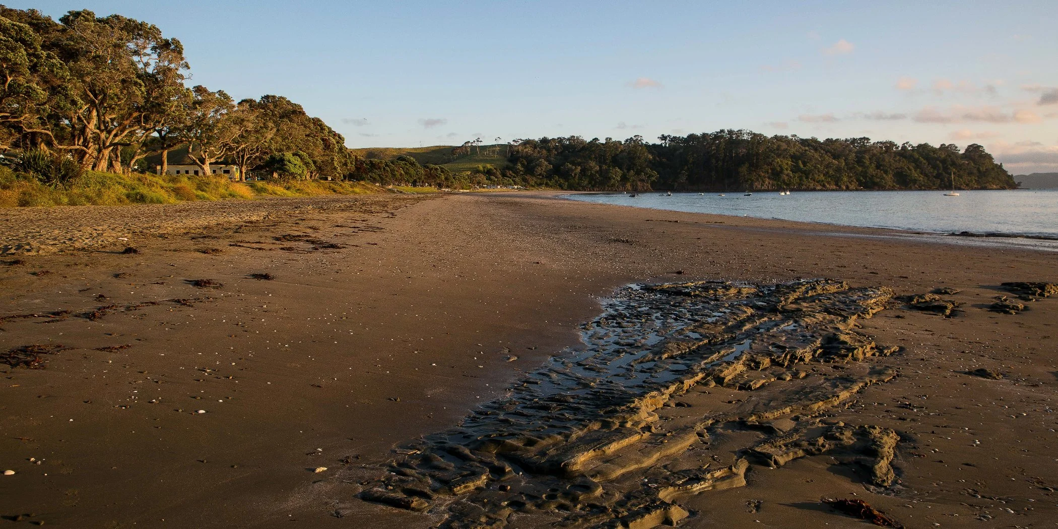 Martins Bay,d-004.jpg