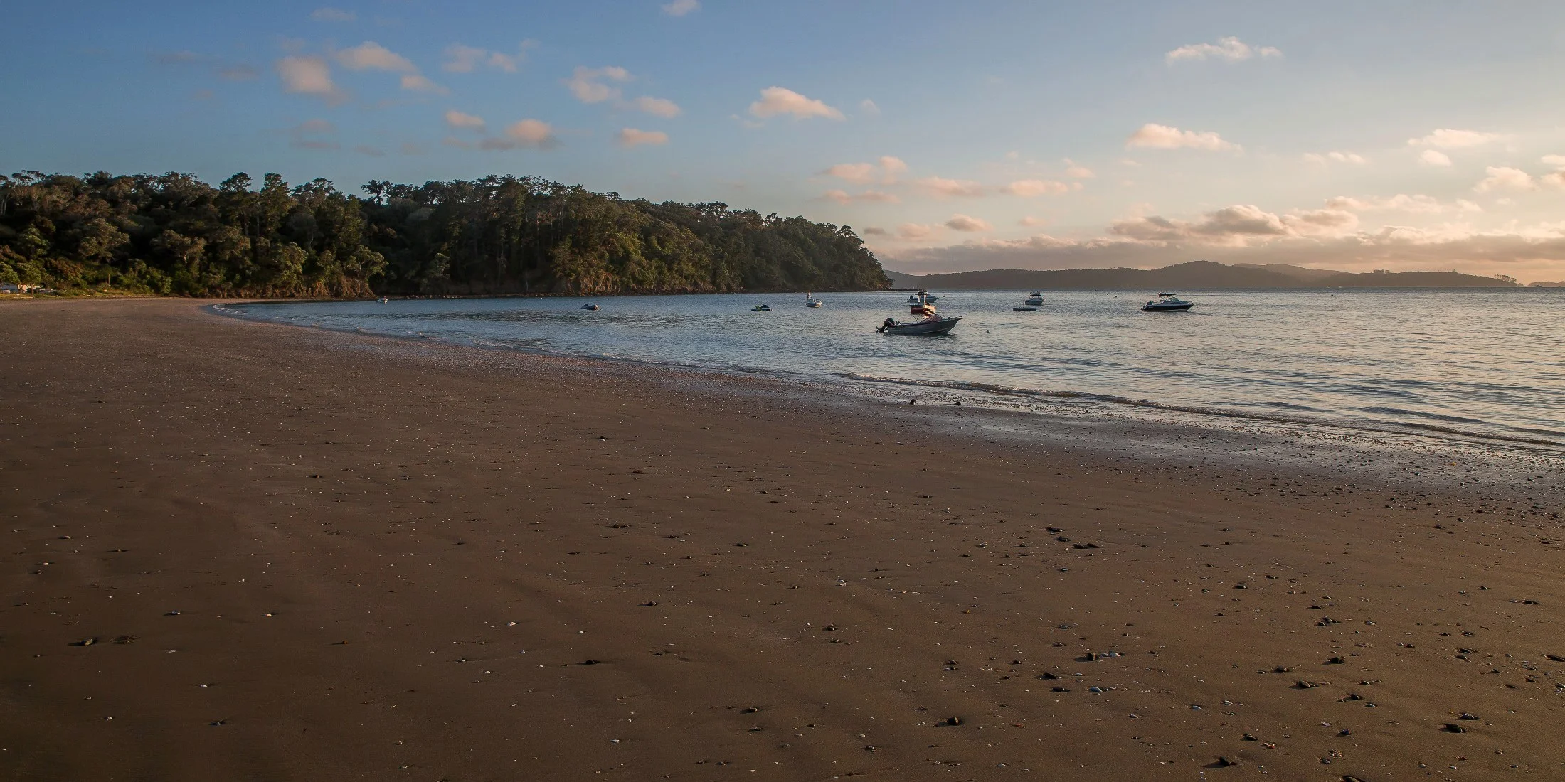 Martins Bay,d-007.jpg