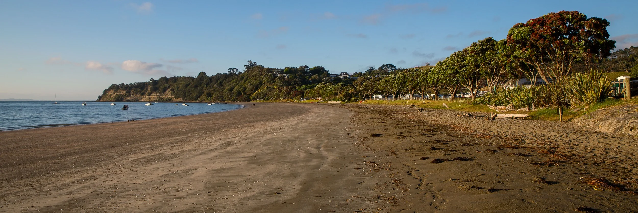 Martins Bay,d-014.jpg